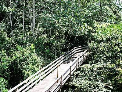 Pakaas Palafita Lodge Guayaramerim Zewnętrze zdjęcie